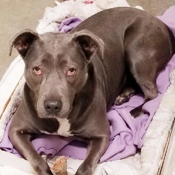 Bette Davis So Gentle thumbnail 2