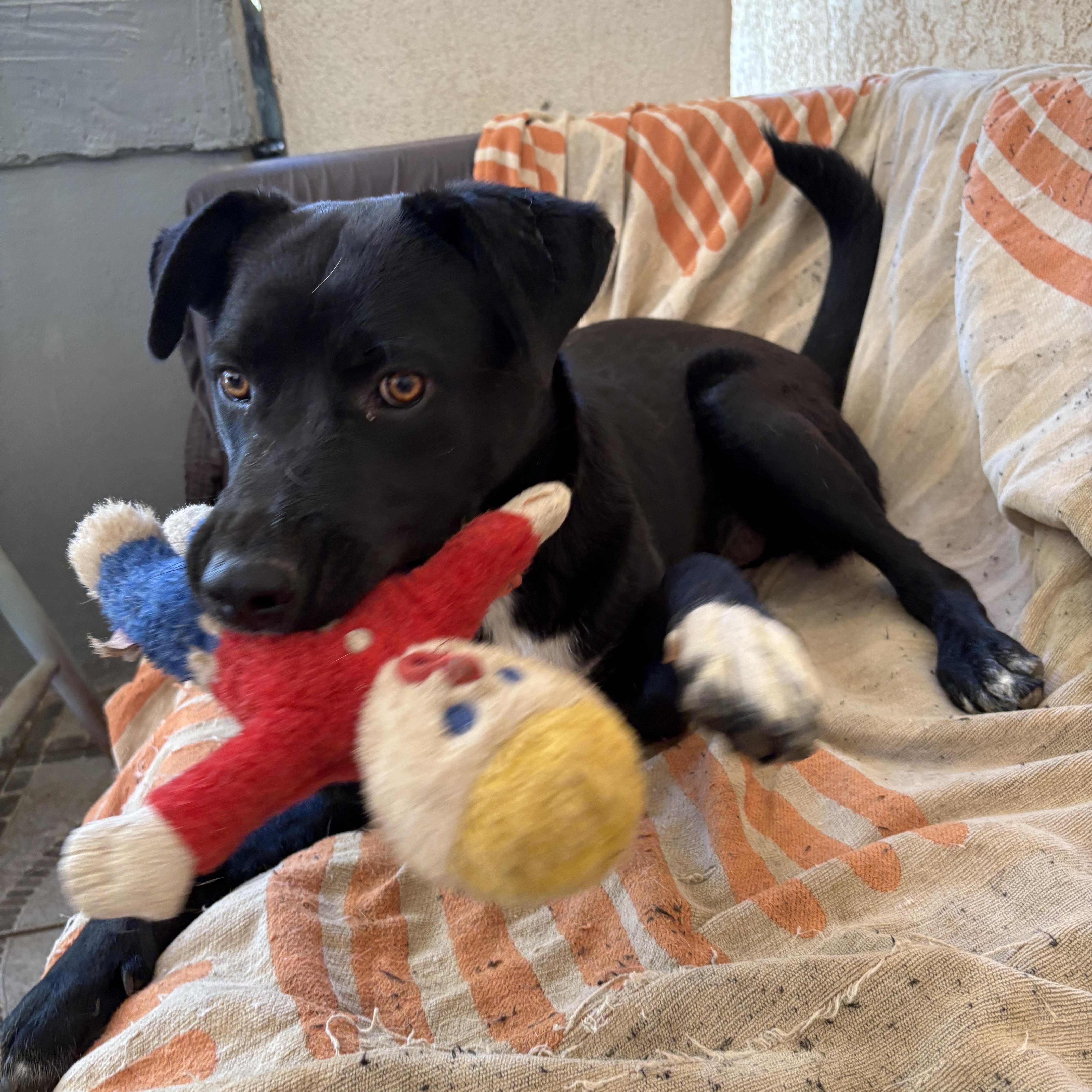 Ruby Aka Black Betty