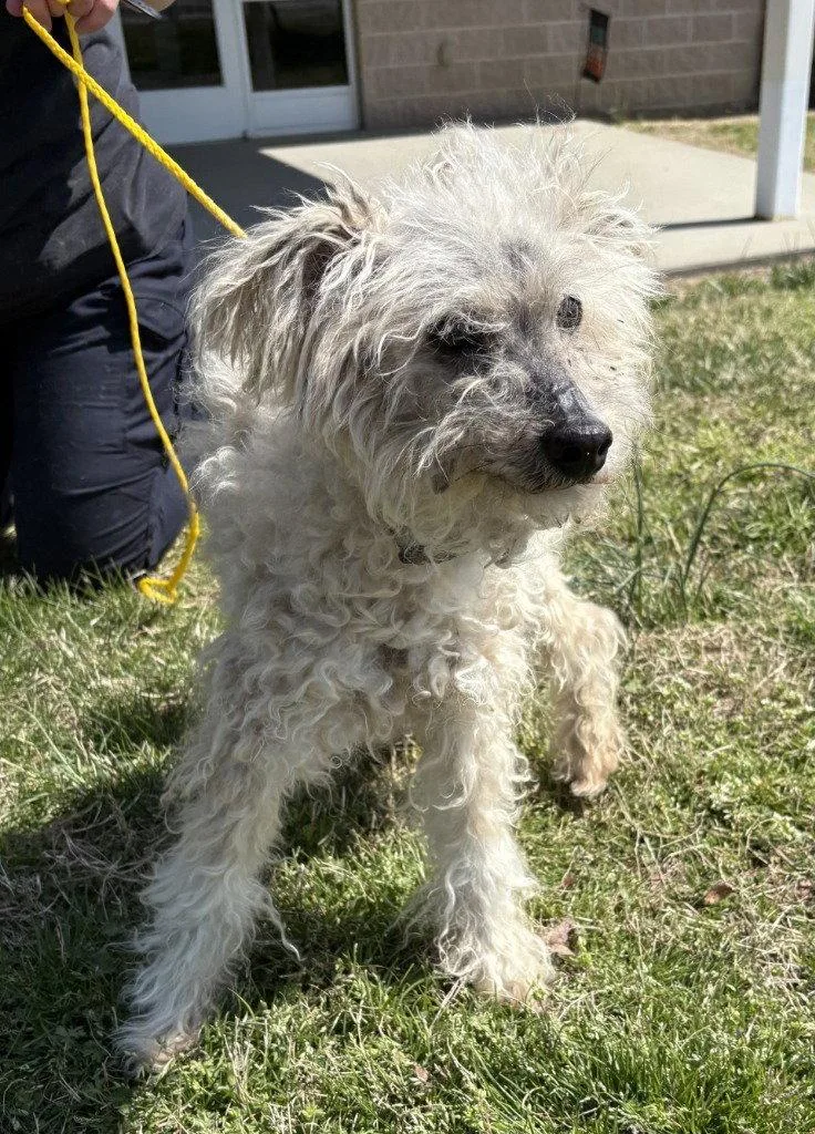 Pr  Drew thumbnail 3