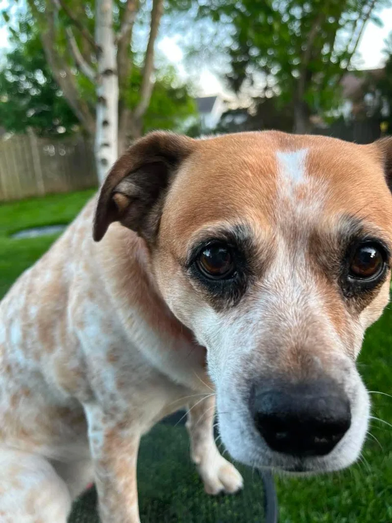 Charlie thumbnail 3