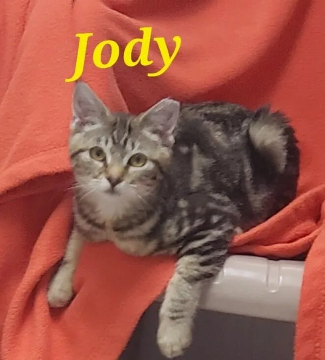 Jody thumbnail 2