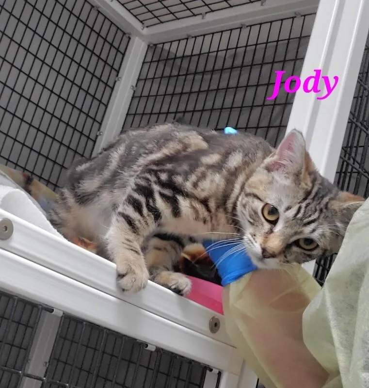 Jody thumbnail 3