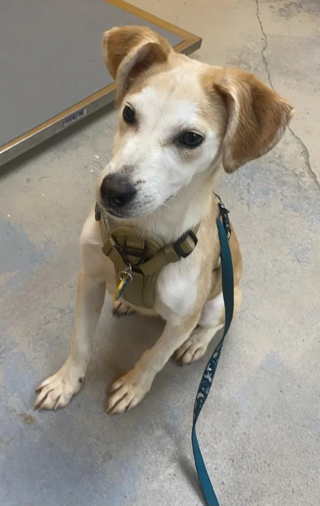 Tropicana thumbnail 4