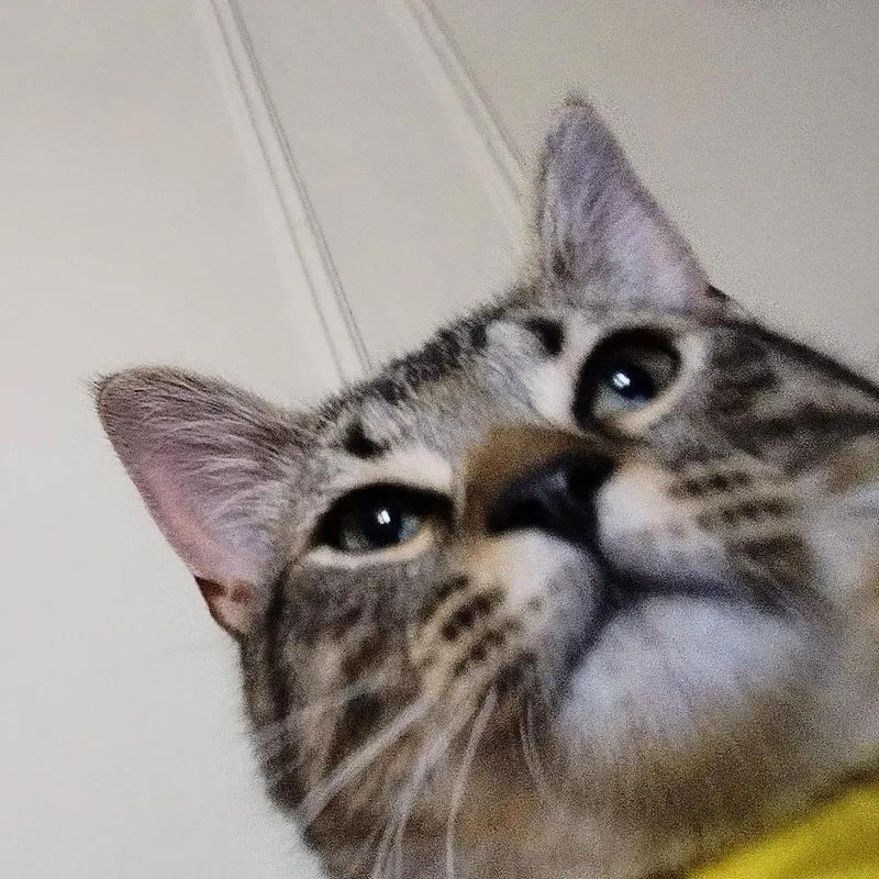 General Mayhem thumbnail 2