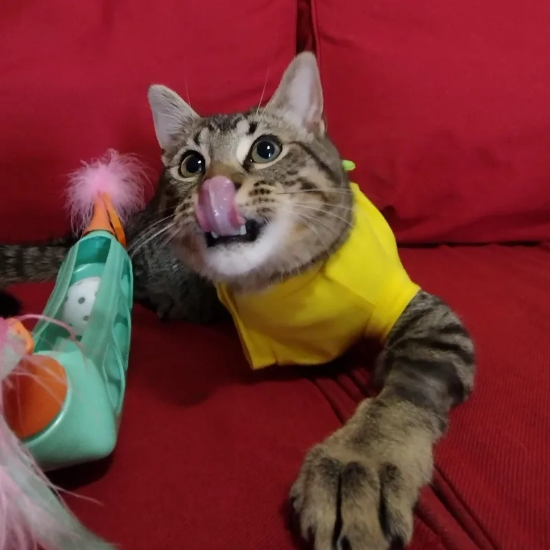 General Mayhem thumbnail 3