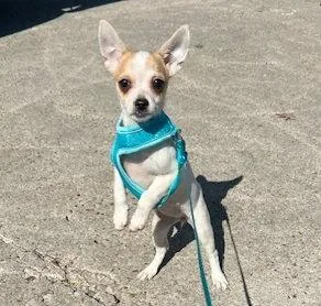 Lucita Sisterofbambi thumbnail 2