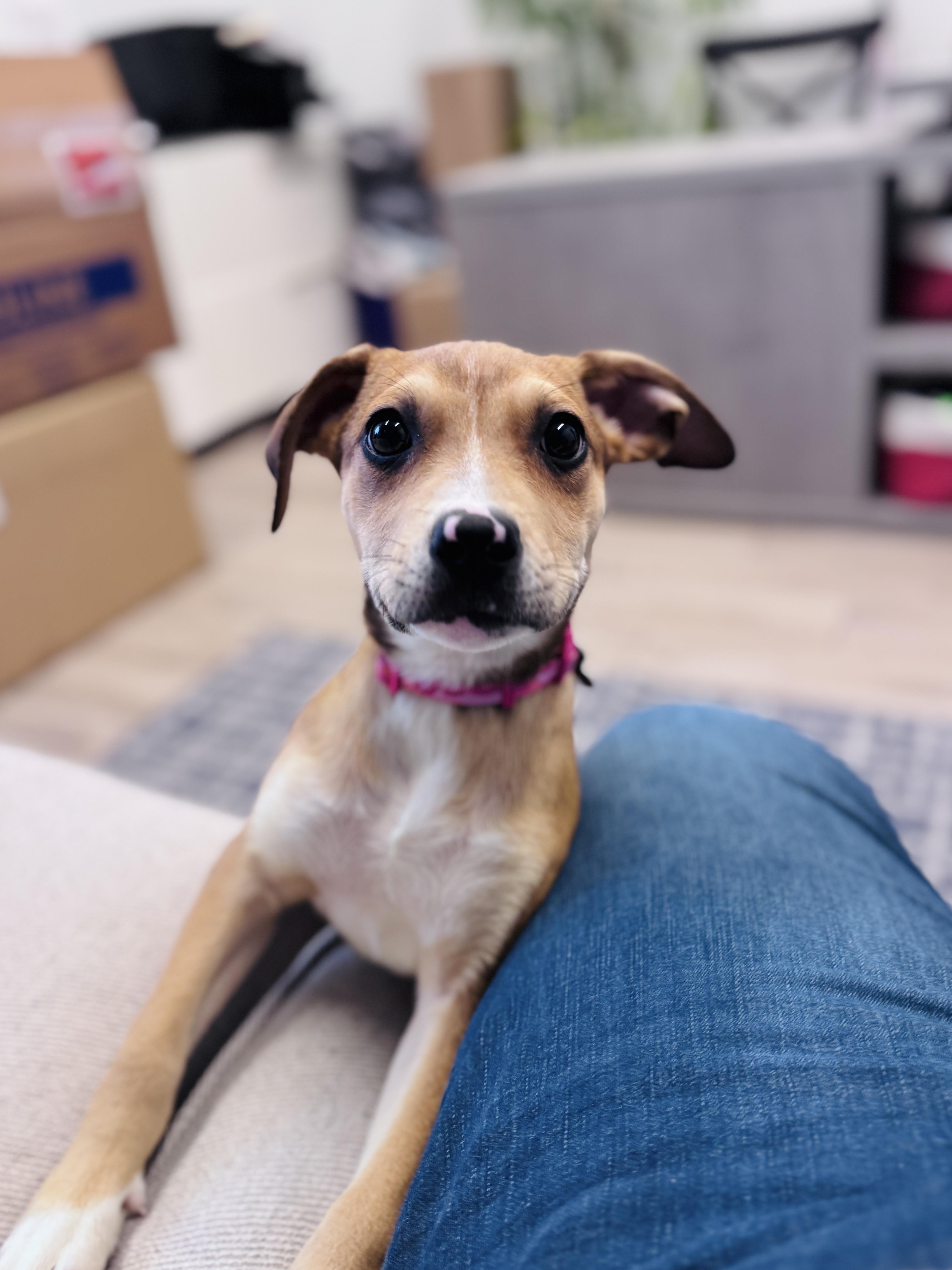 Madalena thumbnail 2