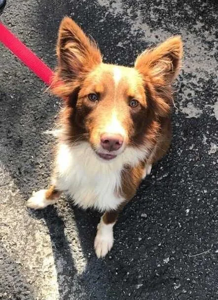 Kai Aka Kyle