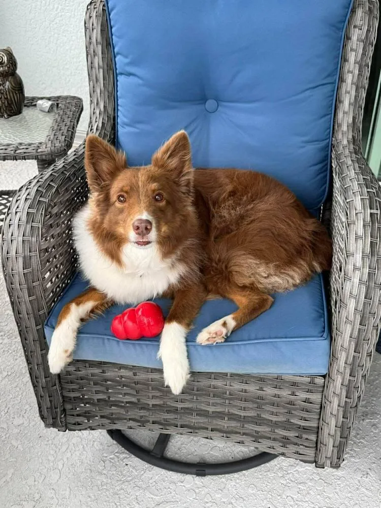 Kai Aka Kyle thumbnail 3