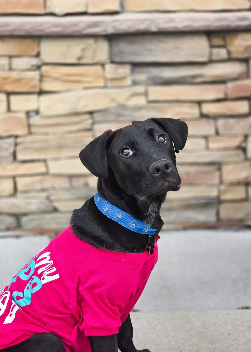 Steinbeck thumbnail 2