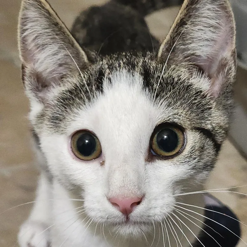 Moriarty thumbnail 2