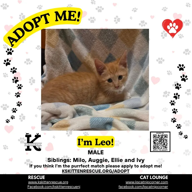 Leo