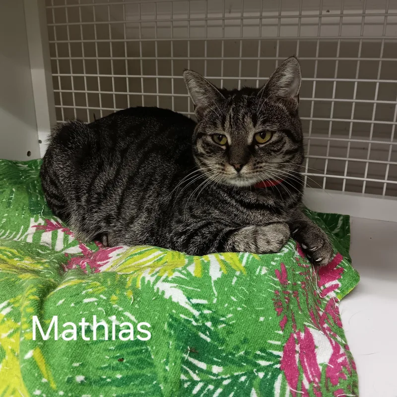 Mathias