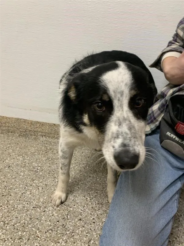 Baby Girl thumbnail 2