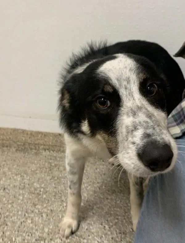 Baby Girl thumbnail 3