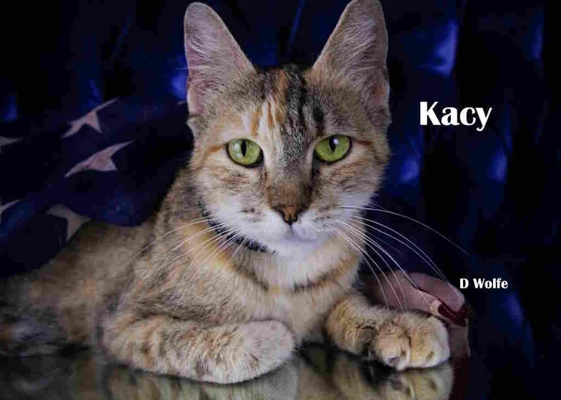 Kacy thumbnail 2