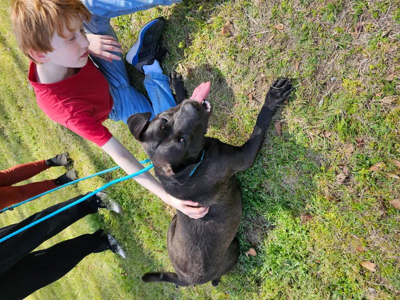 Gussipie thumbnail 2