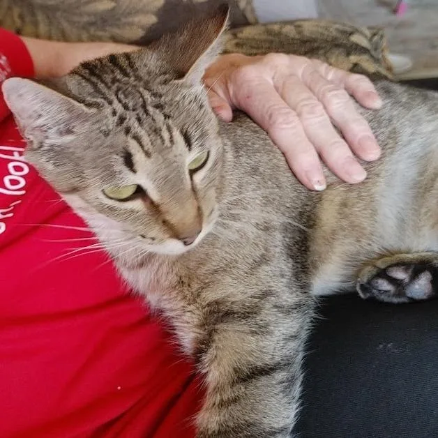 Ghost Pepper thumbnail 5