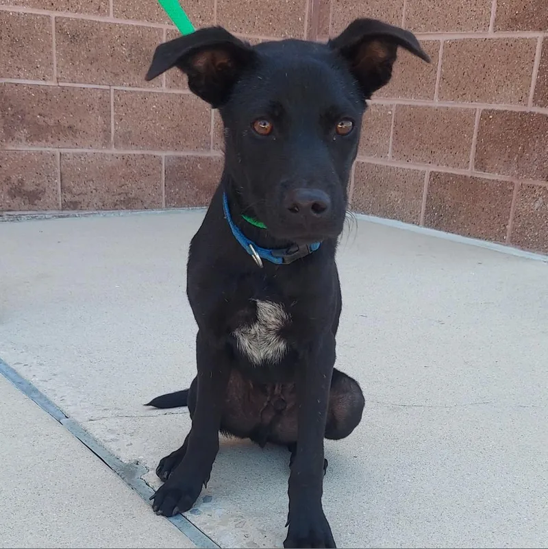 Stuart Jum thumbnail 2