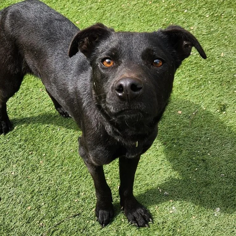 Stuart Jum thumbnail 3