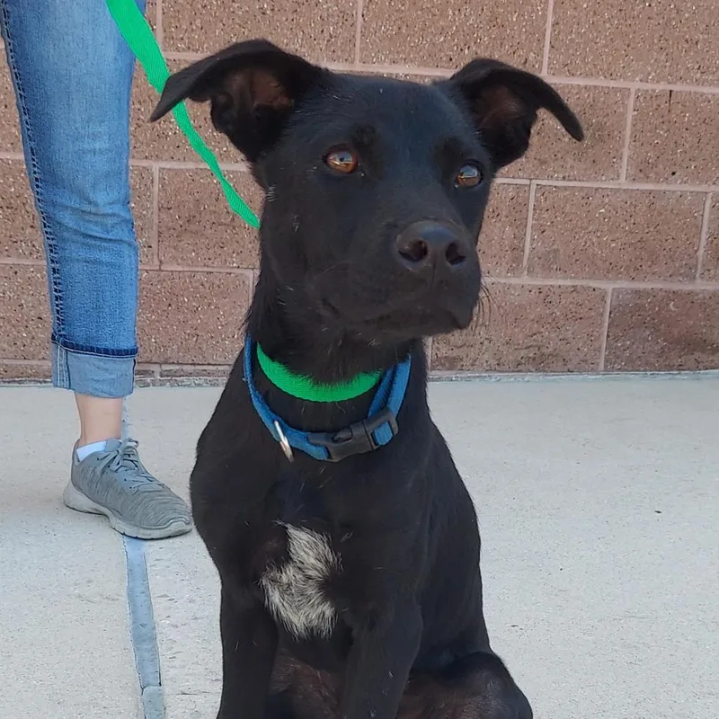 Stuart Jum thumbnail 4