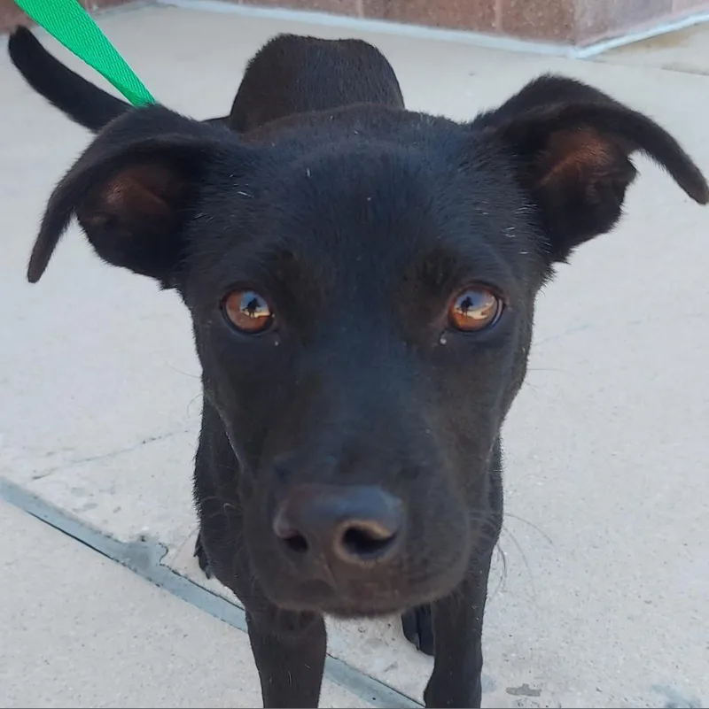 Stuart Jum thumbnail 6