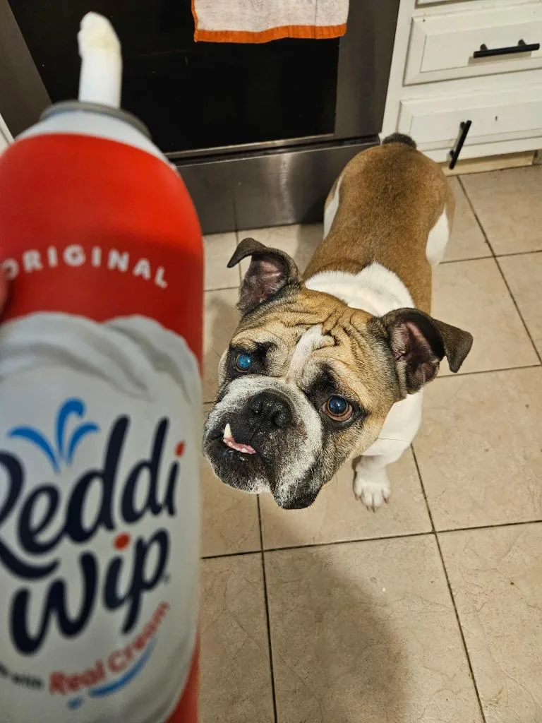 Branch thumbnail 3