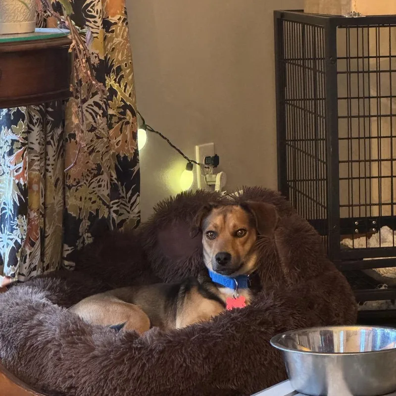 Snoop Dogg thumbnail 3