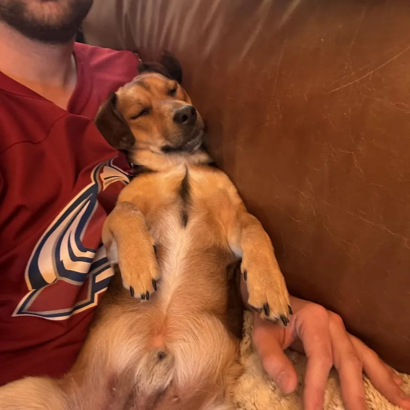 Snoop Dogg thumbnail 4