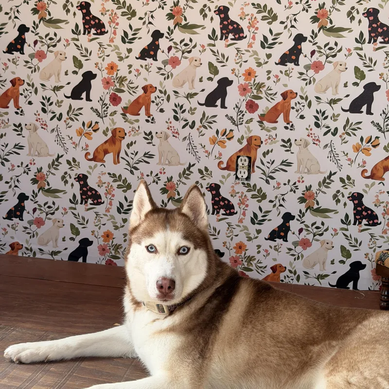 Nala thumbnail 6