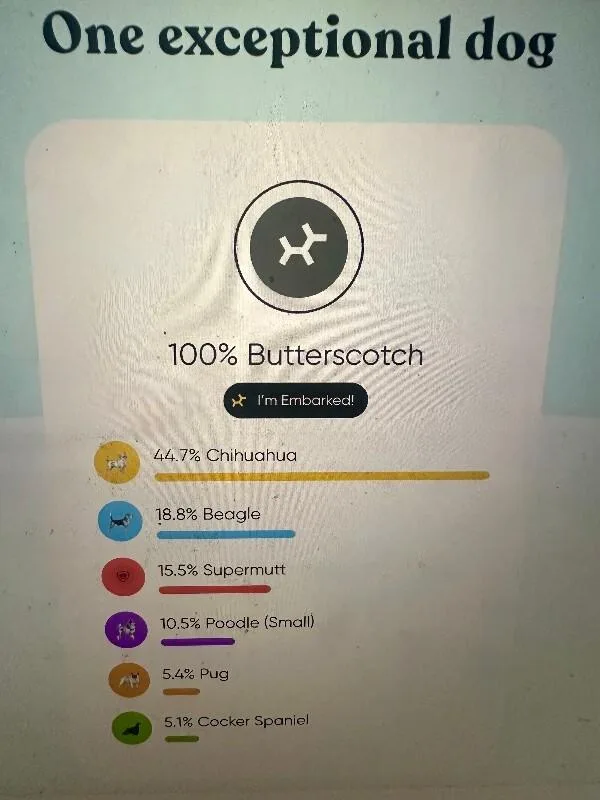 Marshmallow thumbnail 2