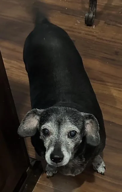 Jasmine    thumbnail 3