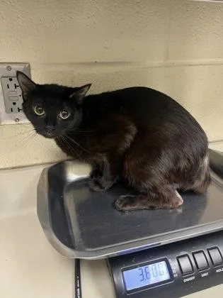 Vhs Player thumbnail 2