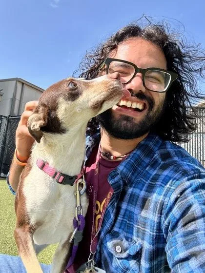A young small-sized female Mixed Breed dog named Whimsy for adoption in Wichita, KS