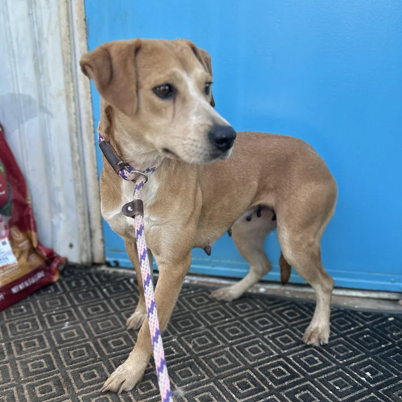 Key West thumbnail 2