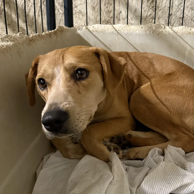 Key West thumbnail 3