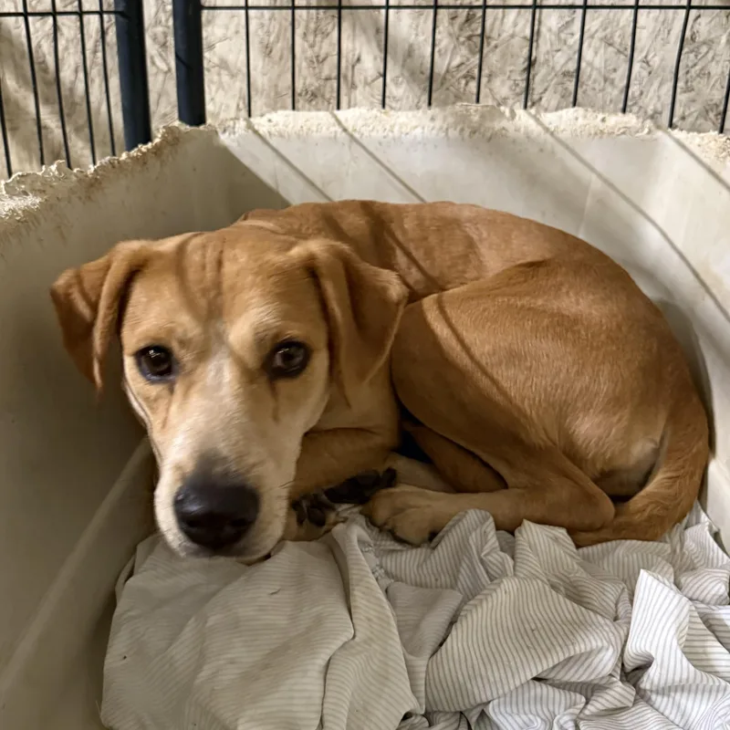 Key West thumbnail 4