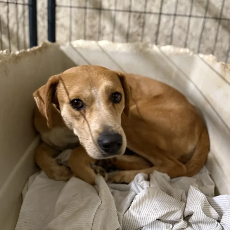 Key West thumbnail 5