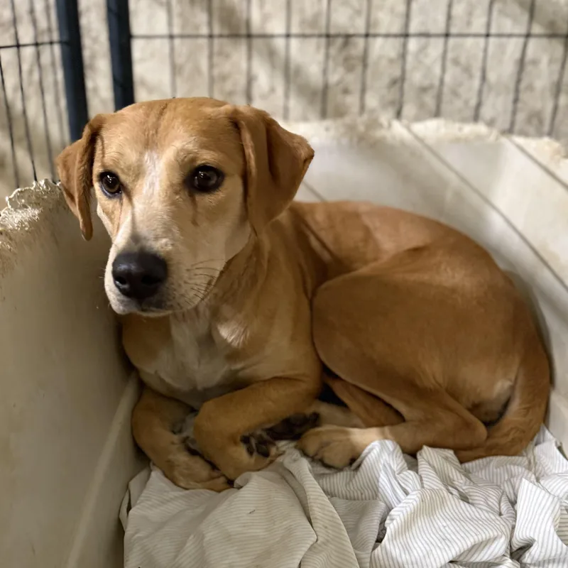 Key West thumbnail 6