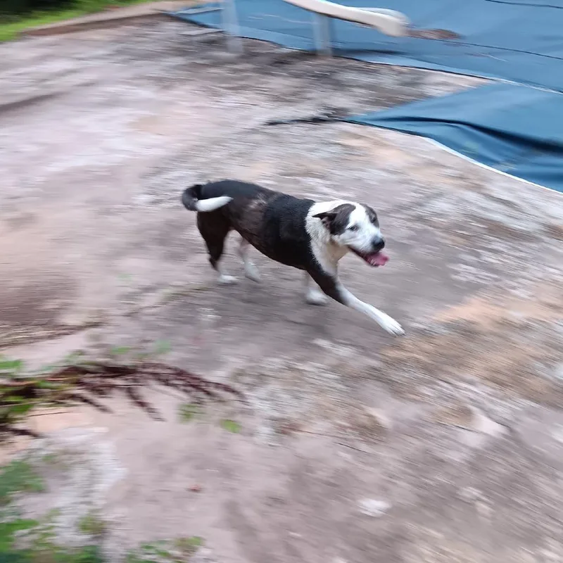 Karma thumbnail 2