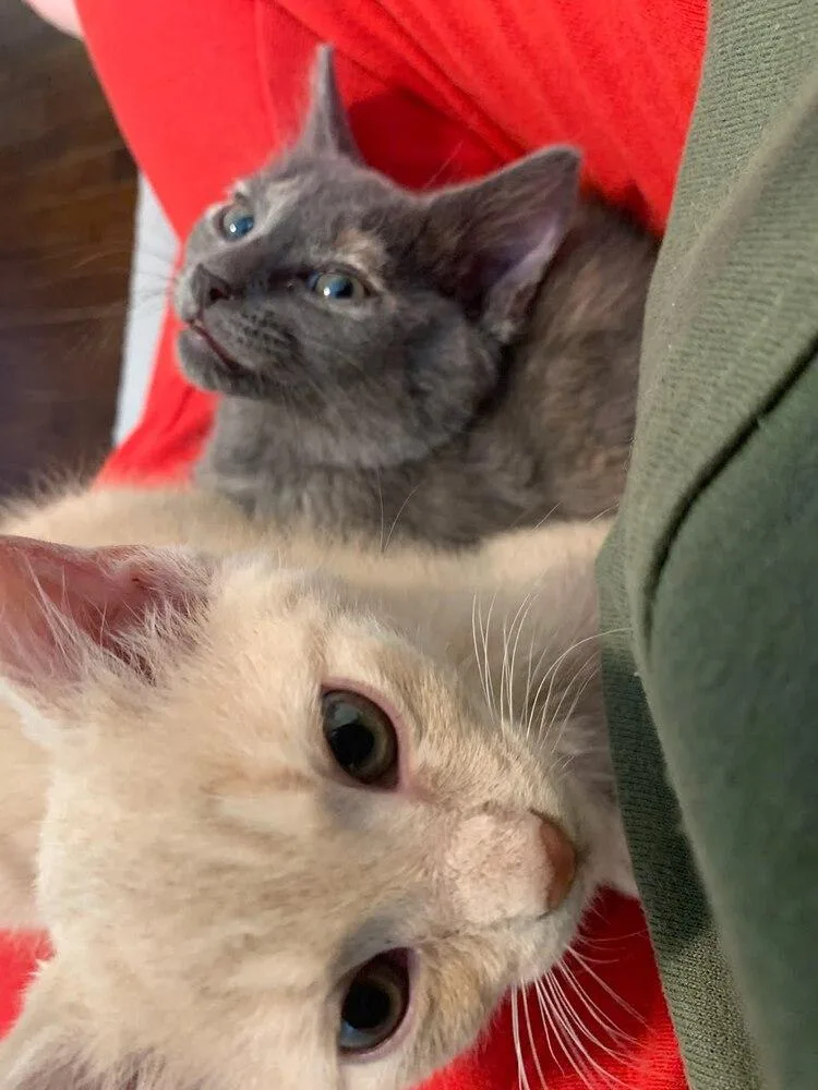 O'malley thumbnail 2