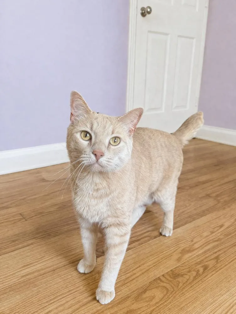 O'malley thumbnail 3