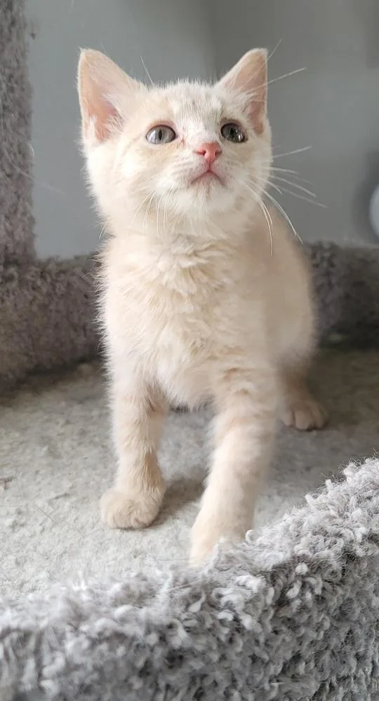 O'malley thumbnail 4