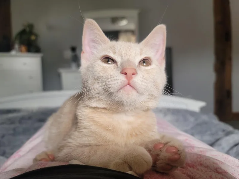 O'malley thumbnail 6