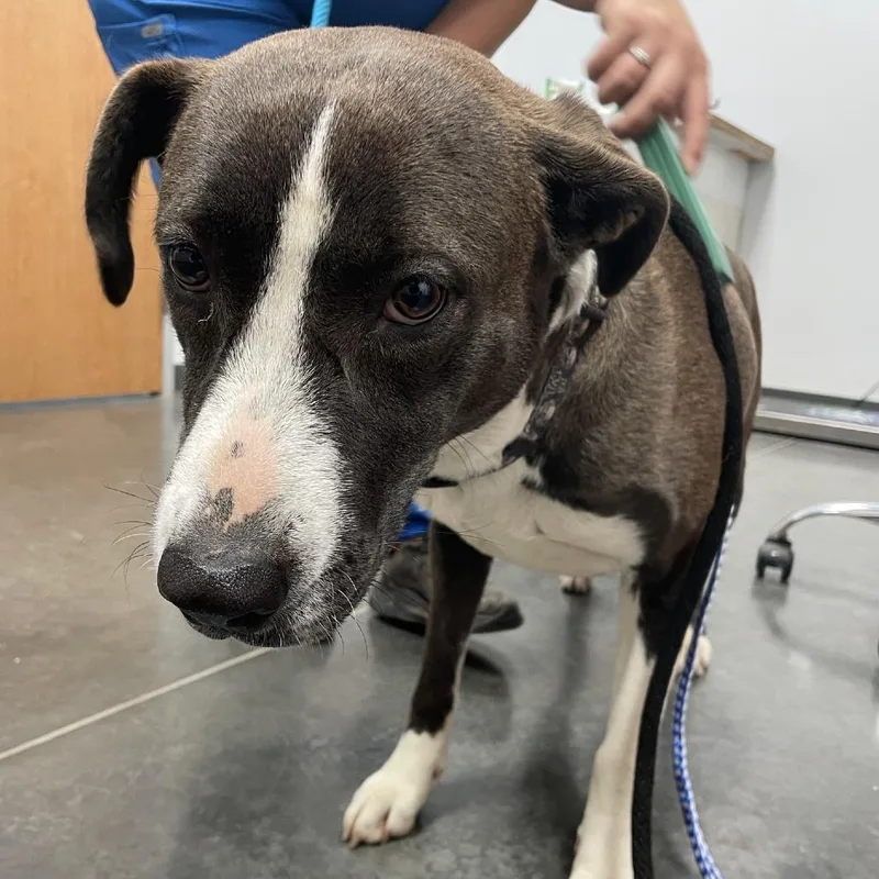 Christine thumbnail 2