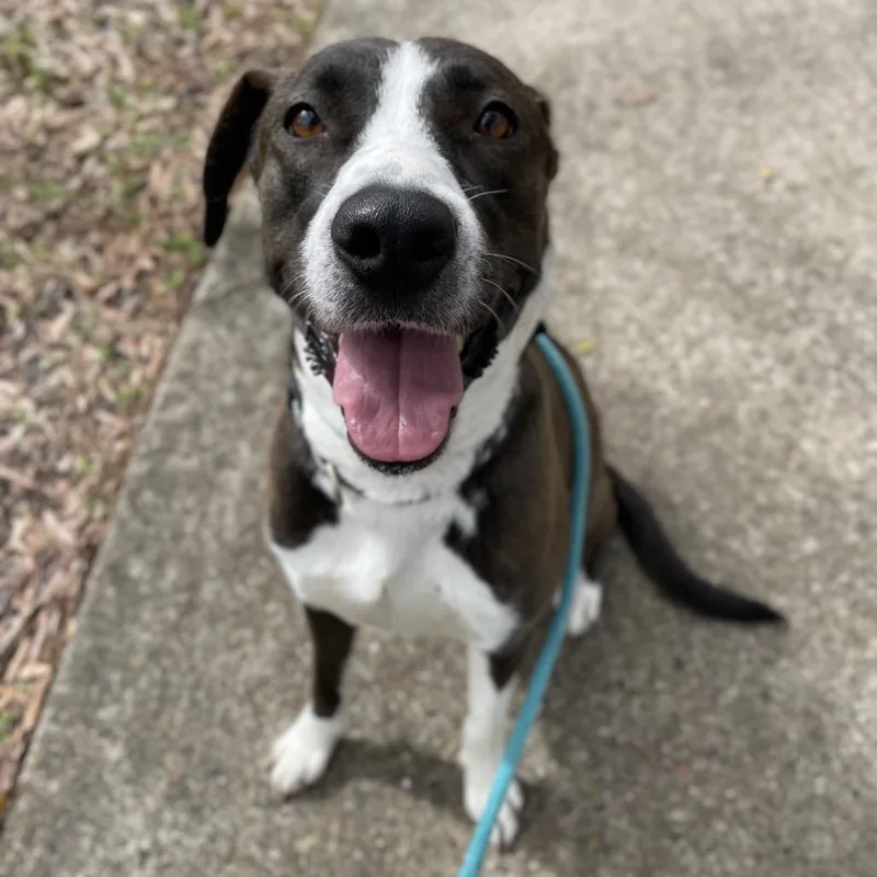 Christine thumbnail 3