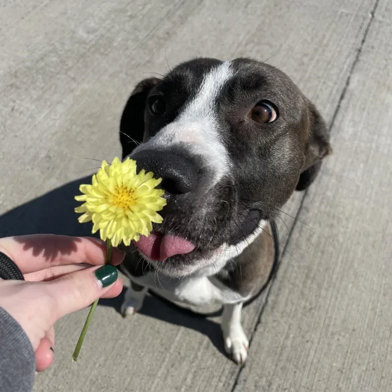 Christine thumbnail 5