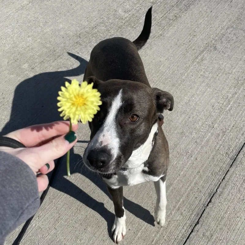 Christine thumbnail 6