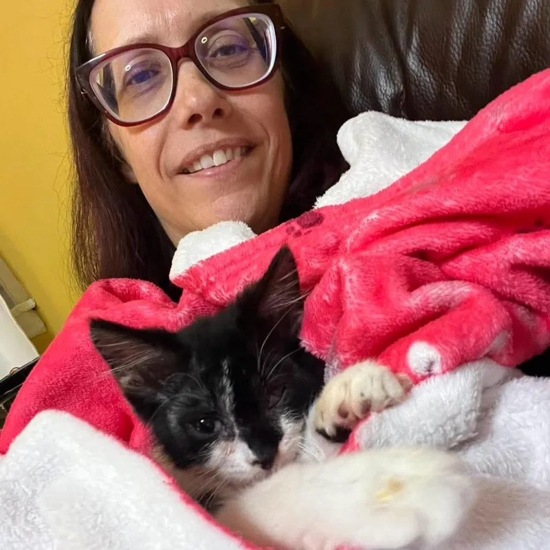A baby small-sized female Black Domestic Medium Hair cat named Trash Panda for adoption in Zuni, VA