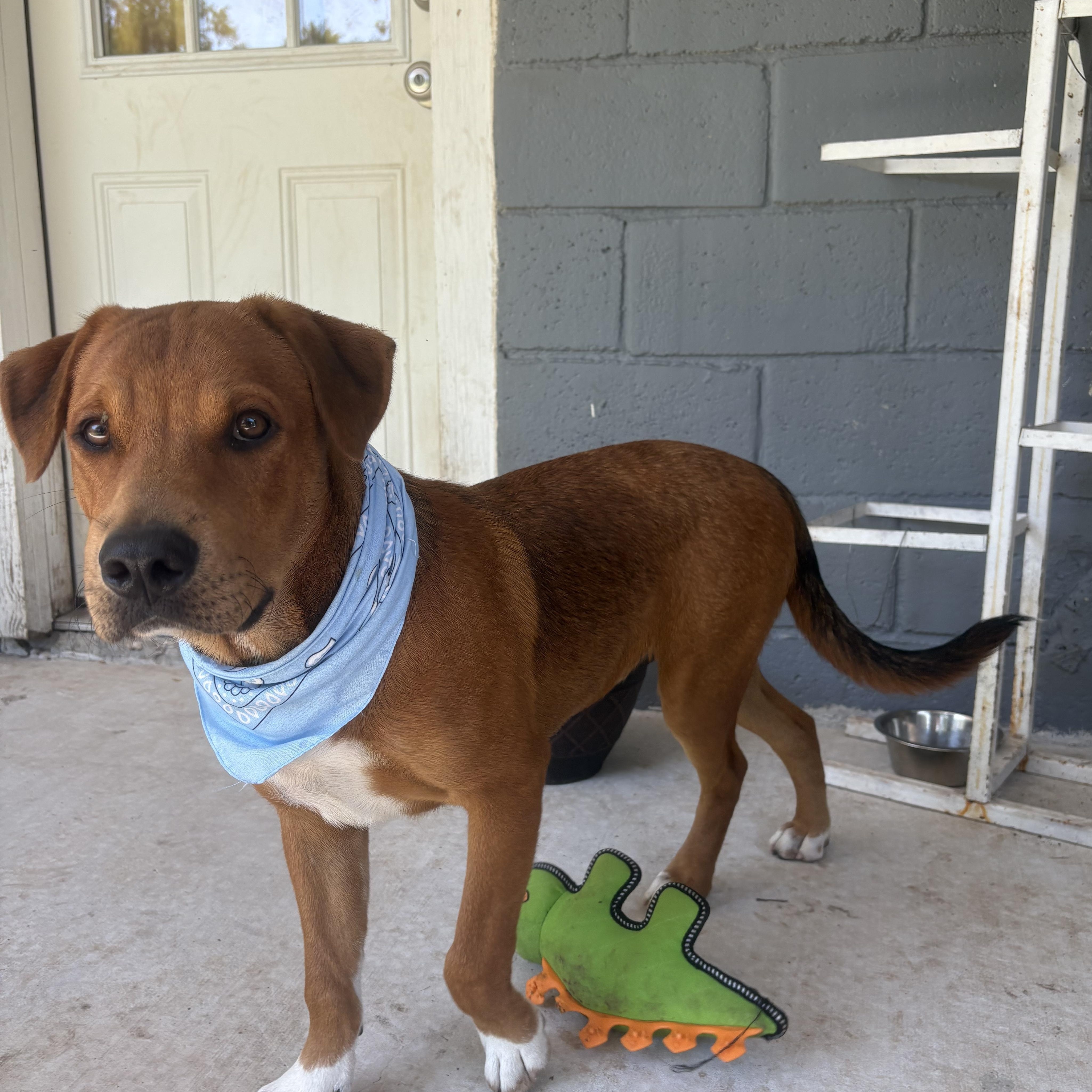 Scooby Doo thumbnail 2